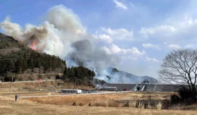 Japonya’da Orman Yangını: 2114 Kişi Tahliye Edildi