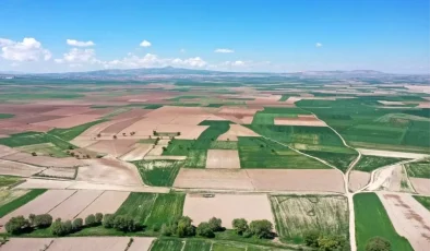 Kayseri Tarımında Büyük Başarı: Kocasinan Belediyesi’nin Projeleri Örnek Gösteriliyor