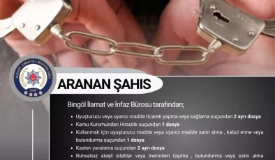 Bingöl’de 20 Suç Kayıtlı Zanlı Yakalandı