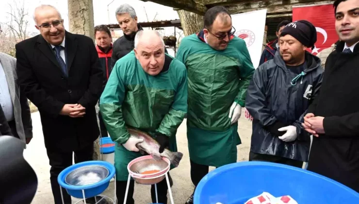 Denizli Valisi Coşkun Alabalık Üretim Tesislerini Ziyaret Etti