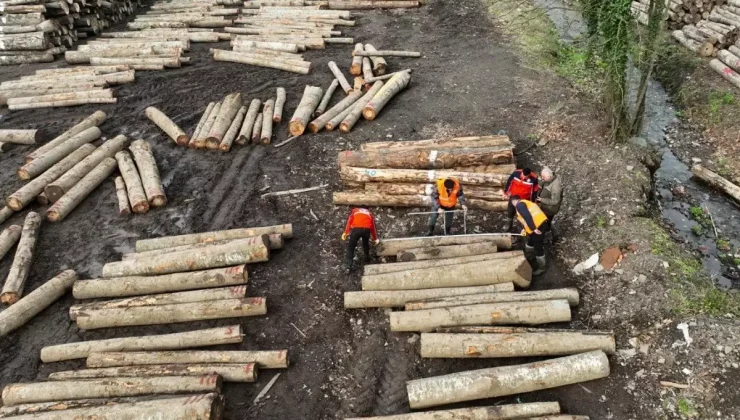 Gölyaka’da Barkodlu Orman İhalesi Yapıldı