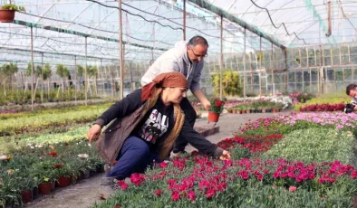 Muğla’nın Süs Bitkisi Üretim Projesi 10 Yıldır Başarıyla Sürdürülüyor