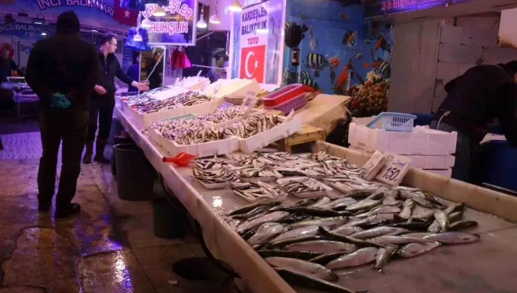 Sakarya’da Balık Fiyatları Düşüyor